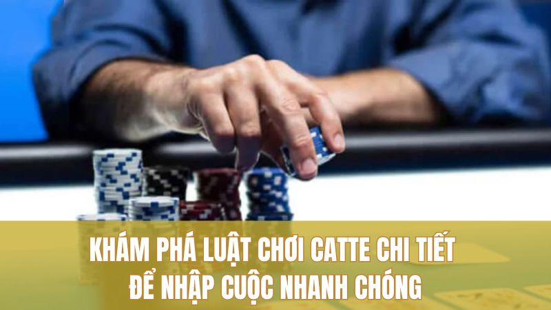 Khám phá luật chơi Catte chi tiết để nhập cuộc nhanh chóng